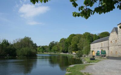 Barrow Track project gets seal of approval from County Carlow Chamber