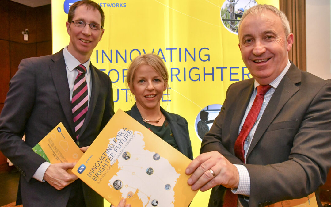 ESB Networks briefs businesses on infrastructure, electric vehicles and smart technologies