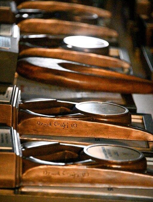 GIRL POWER GRABS THE SPOTLIGHT AS AWARDS CELEBRATE THE CREAM OF CARLOW BUSINESS