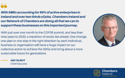 Chambers Ireland calls for accelerated action on the SDGs during 76th UN General Assembly