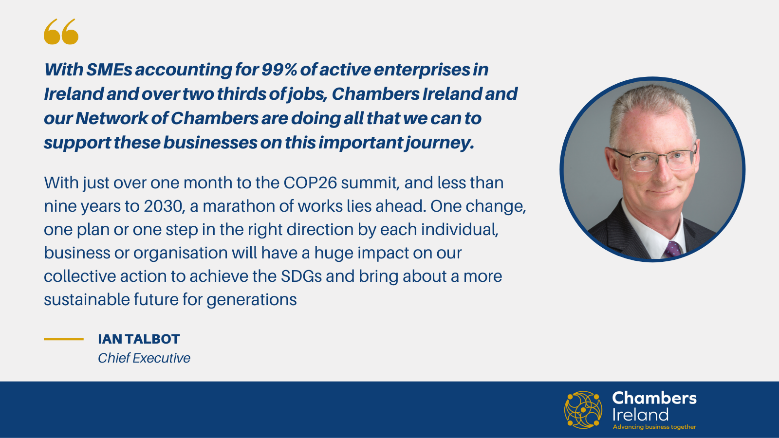 Chambers Ireland calls for accelerated action on the SDGs during 76th UN General Assembly