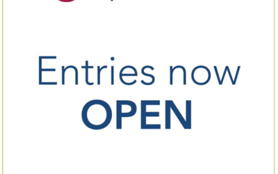 Chambers Ireland launch Annual Sustainable Business Impact Awards