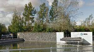 County Carlow Chamber welcomes Jobs Announcement by MSD