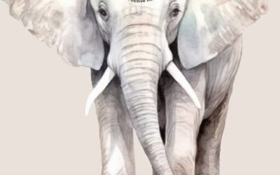 Name our Elephant!  Carlow Mental Health Association, Mensana Fest 2025