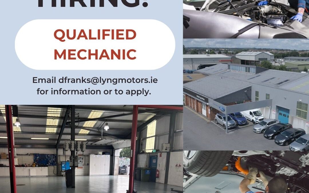 QUALIFIED MOTOR TECHNICIAN