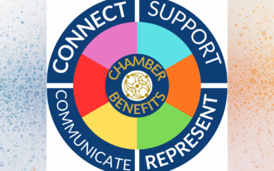 Thank you to everyone who joined us for our Chamber Networking Morning today in UPMC Ireland (Carlow)