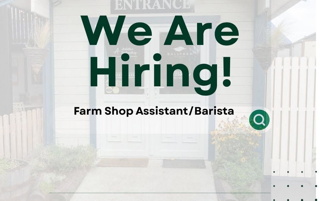 Shop Assistant / Barista